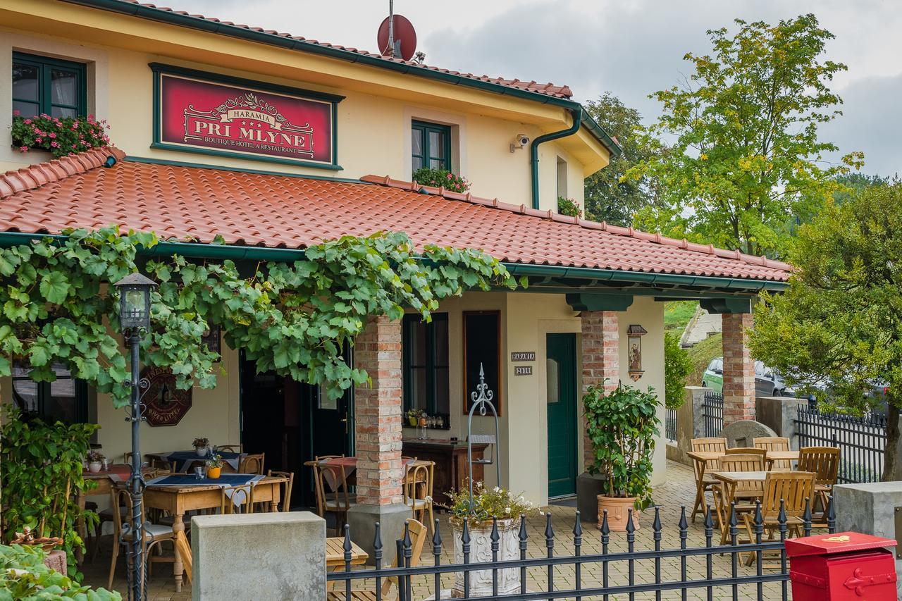 Boutique Hotel Pri Mlyne 로조르노 외부 사진